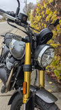 2025 Royal Enfield Bear 650 | Golden Shadow | $7,099